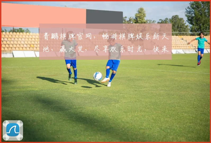 青鹏棋牌官网，畅游棋牌娱乐新天地，赢大奖，尽享欢乐时光，快来体验
