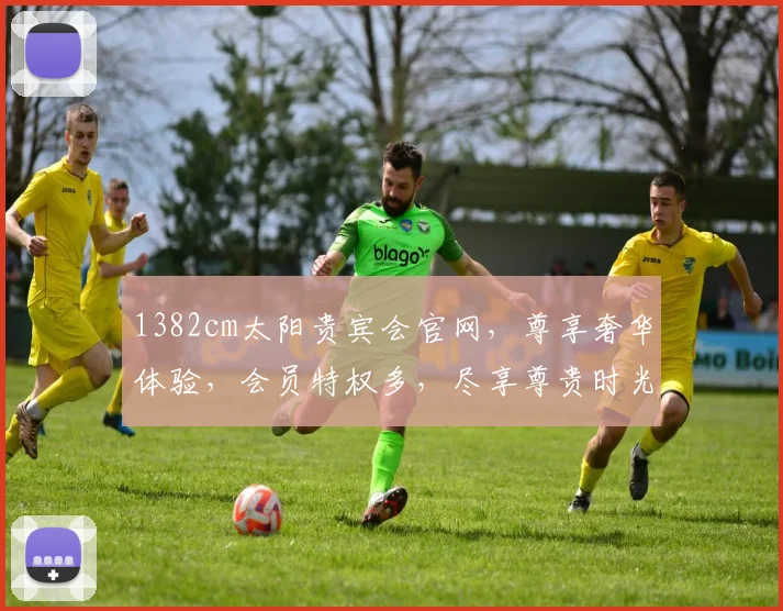 1382cm太阳贵宾会官网，尊享奢华体验，会员特权多，尽享尊贵时光，一站式娱乐平台，不容错过