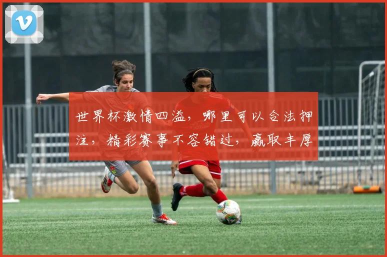 世界杯激情四溢，哪里可以合法押注，精彩赛事不容错过，赢取丰厚回报