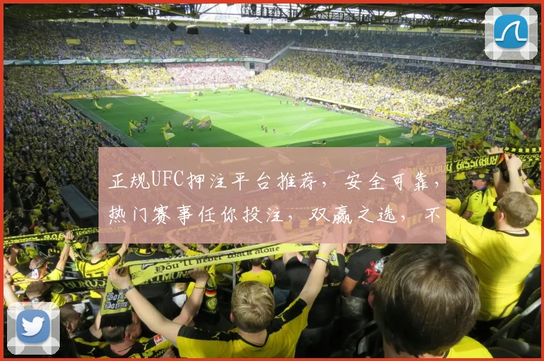 正规UFC押注平台推荐，安全可靠，热门赛事任你投注，双赢之选，不容错过