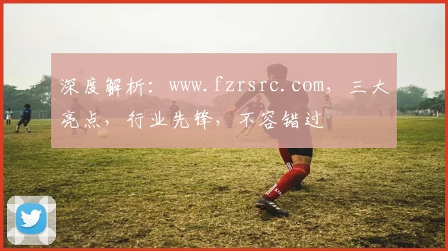深度解析：www.fzrsrc.com，三大亮点，行业先锋，不容错过